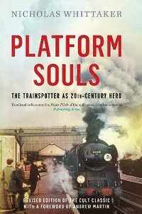 bokomslag Platform Souls