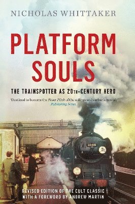 Platform Souls 1