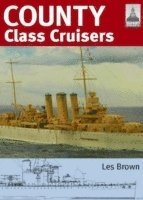 bokomslag ShipCraft 19: County Class Cruisers