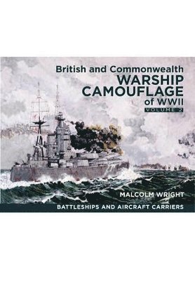 bokomslag Battleships & Aircraft Carriers