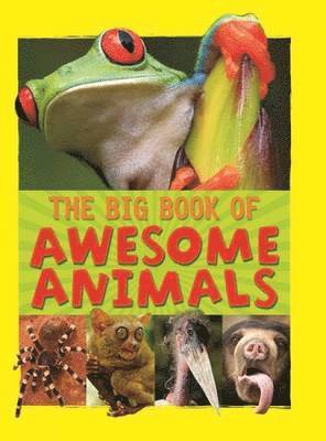 Lynn Huggins-Cooper - Awesome Animals, Inbunden