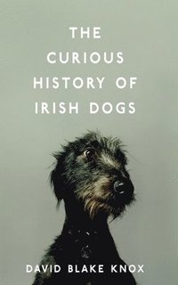 bokomslag The Curious History of Irish Dogs