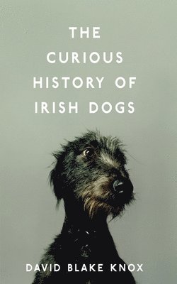 The Curious History of Irish Dogs 1