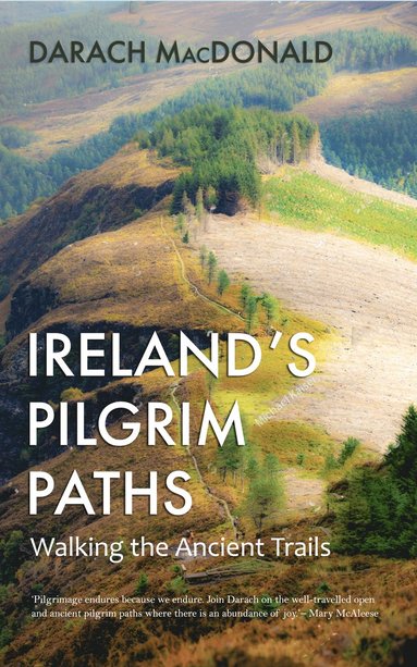 bokomslag Ireland's Pilgrim Paths