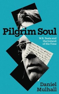 bokomslag Pilgrim Soul