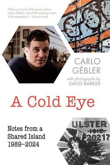 Carlo Gébler - A Cold Eye, Häftad