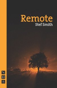 bokomslag Remote