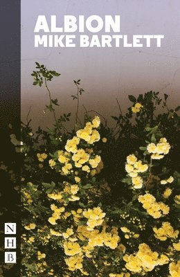 Mike Bartlett - Albion, Häftad