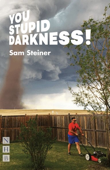 Sam Steiner - You Stupid Darkness!, Häftad