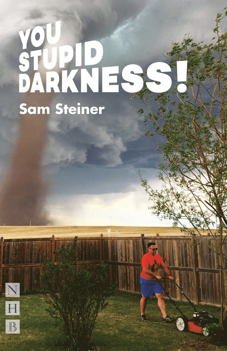 Sam Steiner - You Stupid Darkness!, Häftad