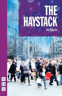 bokomslag The Haystack