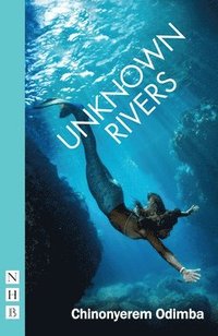 bokomslag Unknown Rivers