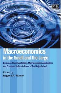 bokomslag Macroeconomics in the Small and the Large