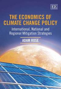bokomslag The Economics of Climate Change Policy