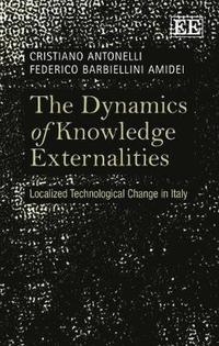 bokomslag The Dynamics of Knowledge Externalities