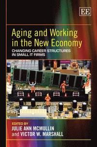 bokomslag Aging and Working in the New Economy