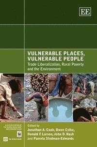 bokomslag Vulnerable Places, Vulnerable People