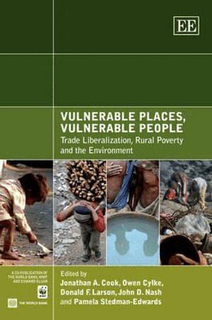 Jonathan A. Cook, Owen Cylke, Donald F. Larson, John D. Nash, Pamela Stedman-Edwards - Vulnerable Places, Vulnerable People, Inbunden