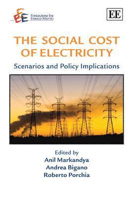 bokomslag Social Cost of Electricity