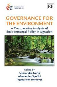 bokomslag Governance for the Environment