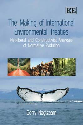 bokomslag The Making of International Environmental Treaties
