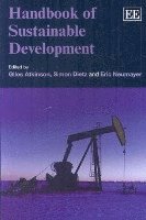 bokomslag Handbook of Sustainable Development