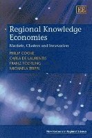 bokomslag Regional Knowledge Economies