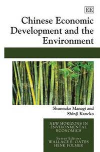 bokomslag Chinese Economic Development and the Environment