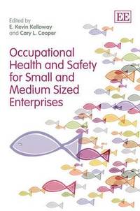 bokomslag Occupational Health and Safety for Small and Medium Sized Enterprises