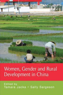 bokomslag Women, Gender and Rural Development in China