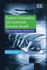 bokomslag Systemic Vulnerability and Sustainable Economic Growth