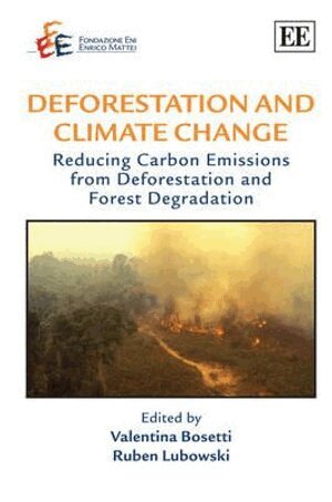 Valentina Bosetti, Ruben Lubowski - Deforestation and Climate Change, Inbunden
