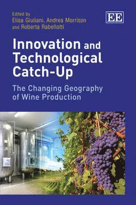 Innovation and Technological Catch-Up 1