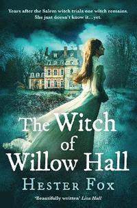 bokomslag The Witch Of Willow Hall