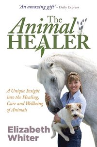 bokomslag The Animal Healer