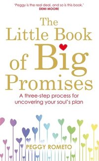 bokomslag The Little Book of Big Promises