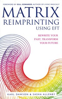 bokomslag Matrix Reimprinting using EFT