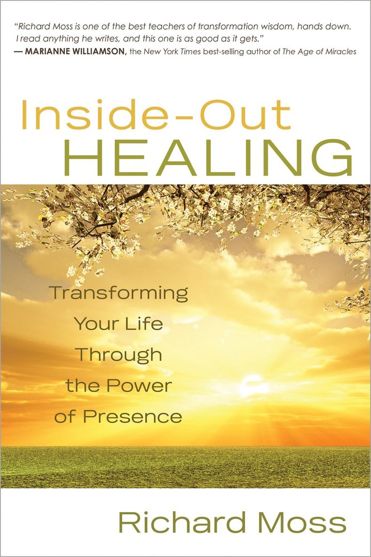 Richard Moss, Richard M Moss - Inside-Out Healing, Häftad