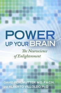 bokomslag Power up your brain - the neuroscience of enlightenment