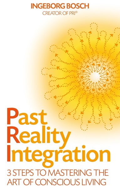 bokomslag Past Reality Integration