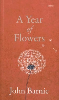 bokomslag Year of Flowers, A