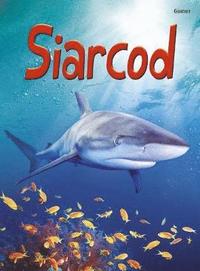 bokomslag Cyfres Dechrau Da: Siarcod