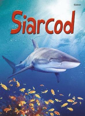 bokomslag Cyfres Dechrau Da: Siarcod