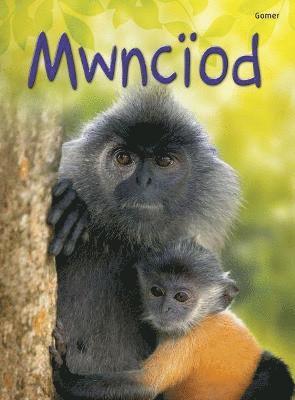 bokomslag Cyfres Dechrau Da: Mwnciod