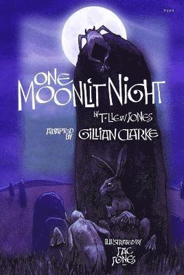 One Moonlit Night (T. Llew Jones) 1