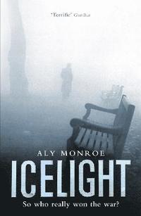 bokomslag Icelight