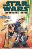 bokomslag Star Wars: Dark Force Rising