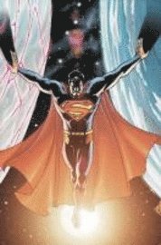 bokomslag Superman: v. 3 New Krypton
