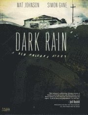 bokomslag Dark Rain