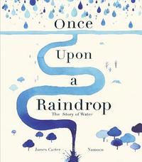 bokomslag Once Upon a Raindrop